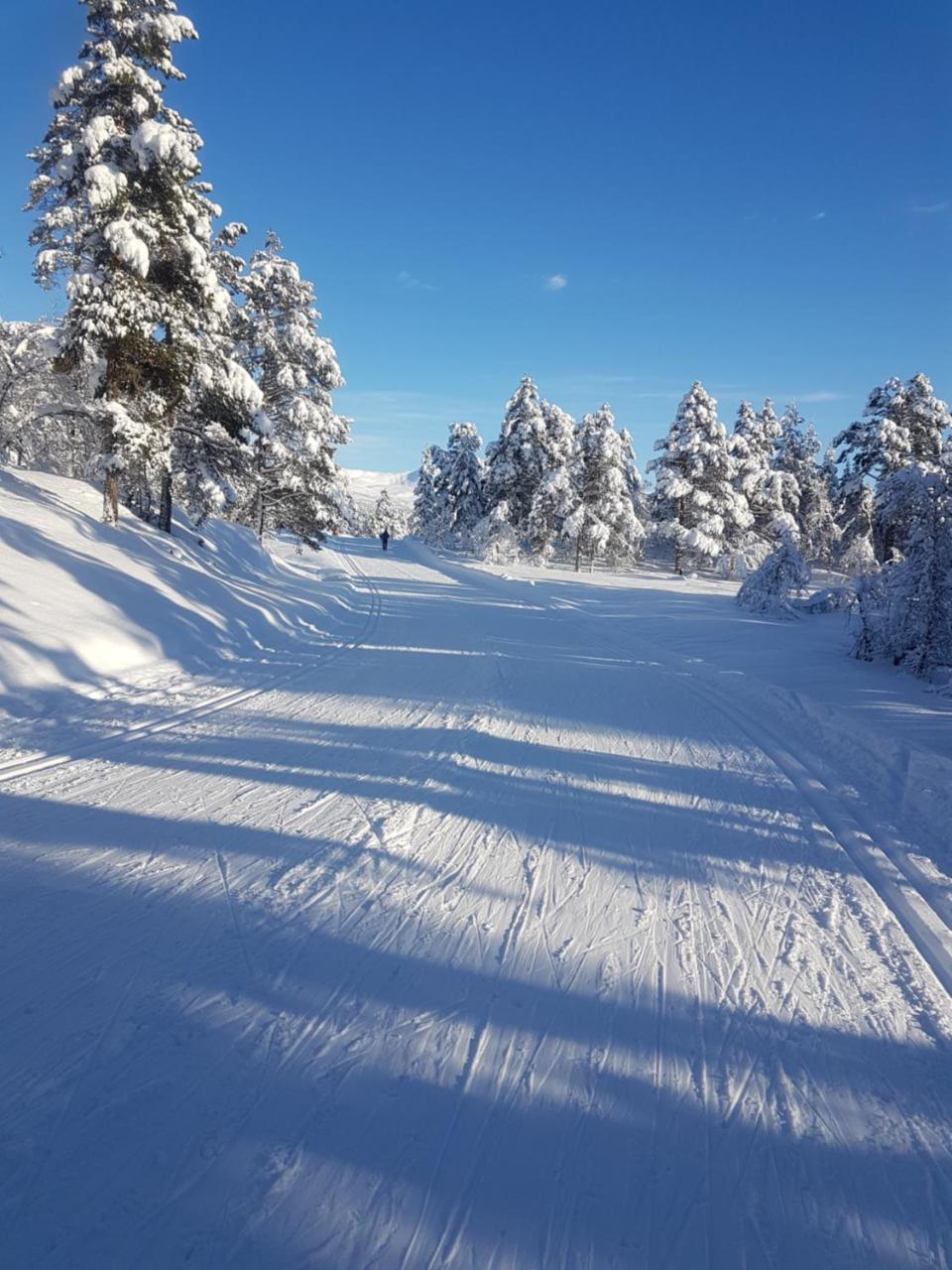 Voss Interlake - Villa Skulestadmo Eksteriør billede
