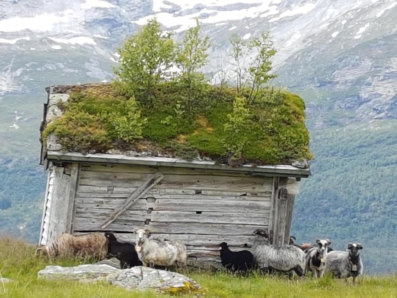 Voss Interlake - Villa Skulestadmo Eksteriør billede